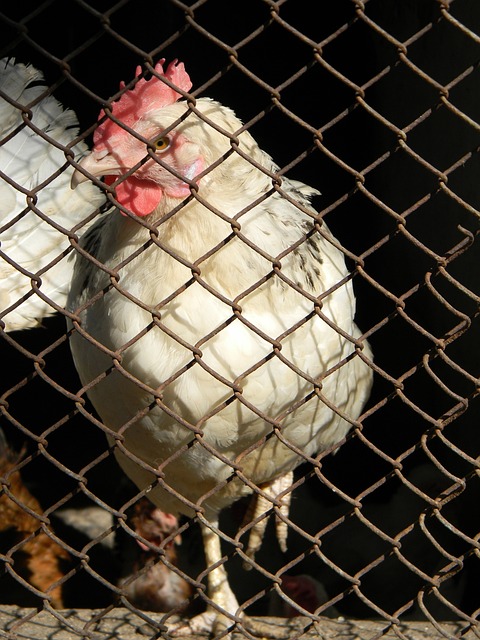 刘建宏：邵佳一已经表现出了一个现代教练的风度和气质